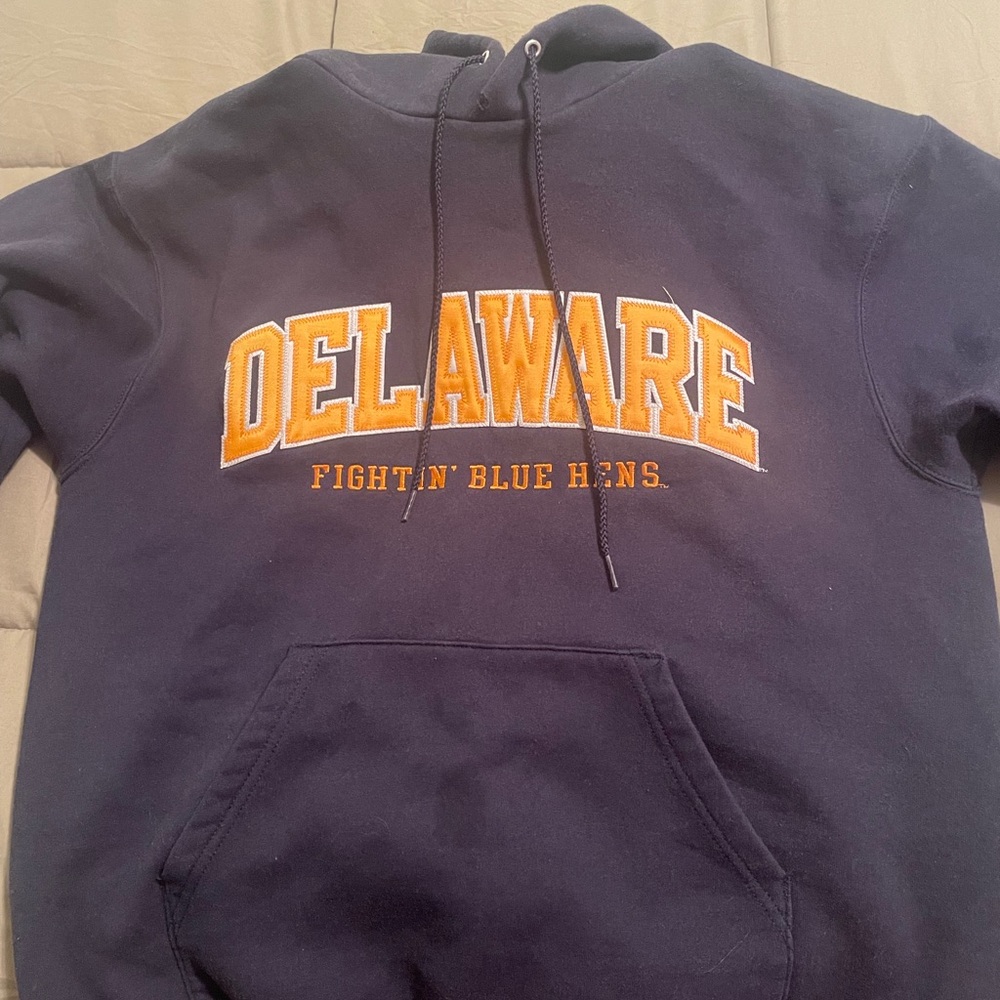 Delaware blue hen hoodie